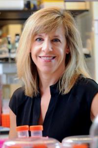 Lori Zeltser, PhD Profile Headshot