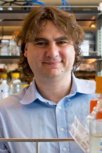 Stavros Lomvardas, PhD Profile Headshot